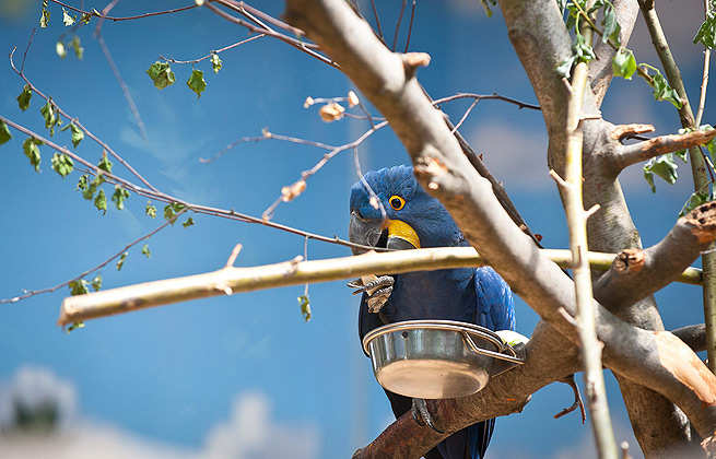 网站攻击软件工具