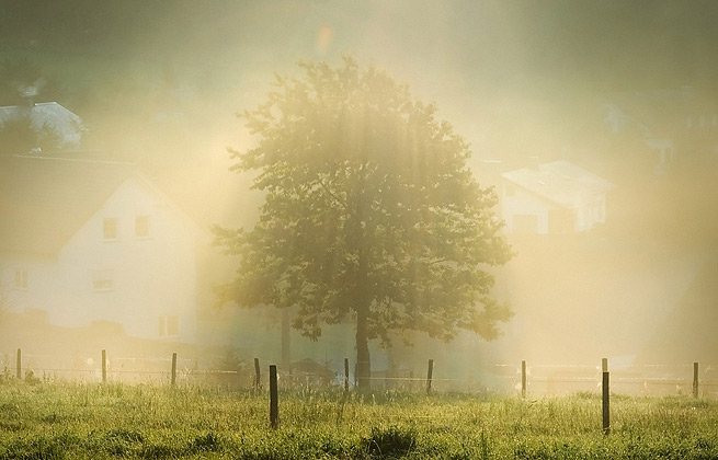 网页攻击器教程