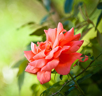 ddos攻击ip软件下载