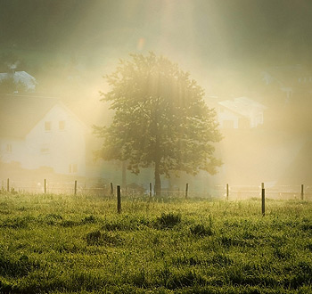 卡密代理一手的DDOS压力测试