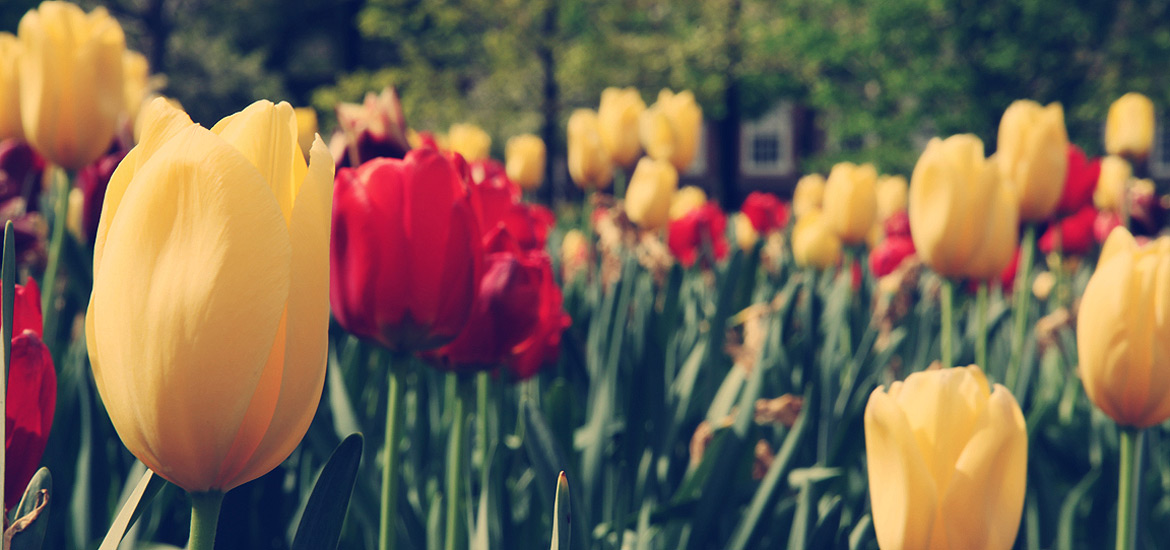 ddos在线攻击工具